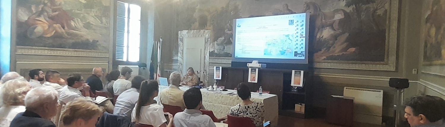 International Workshop on the Strategic Innovation Agenda for Geothermal Exploitation in Europe Concludes Successfully